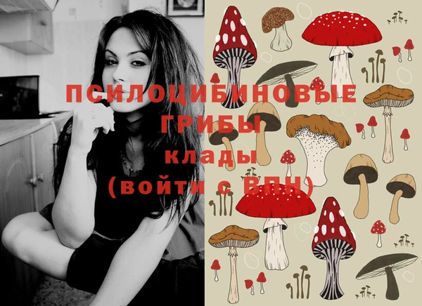 mdpv Алзамай