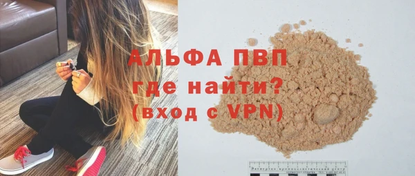 шишки Гусь-Хрустальный