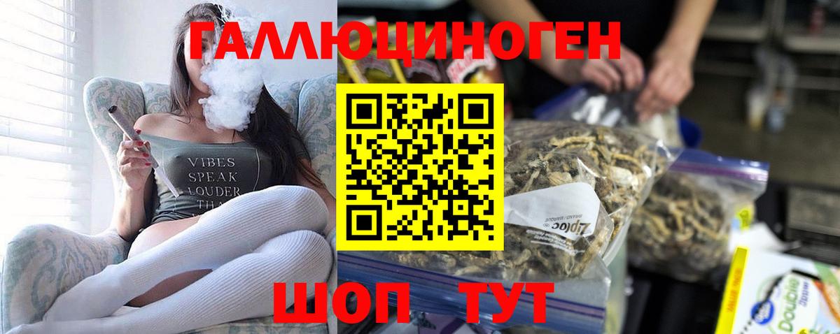 Галлюциногенные грибы GOLDEN TEACHER Находка